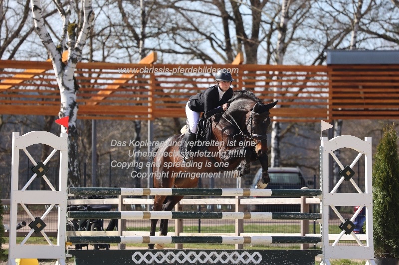 Preview hedda roggenbuck mit charrera IMG_1535.jpg